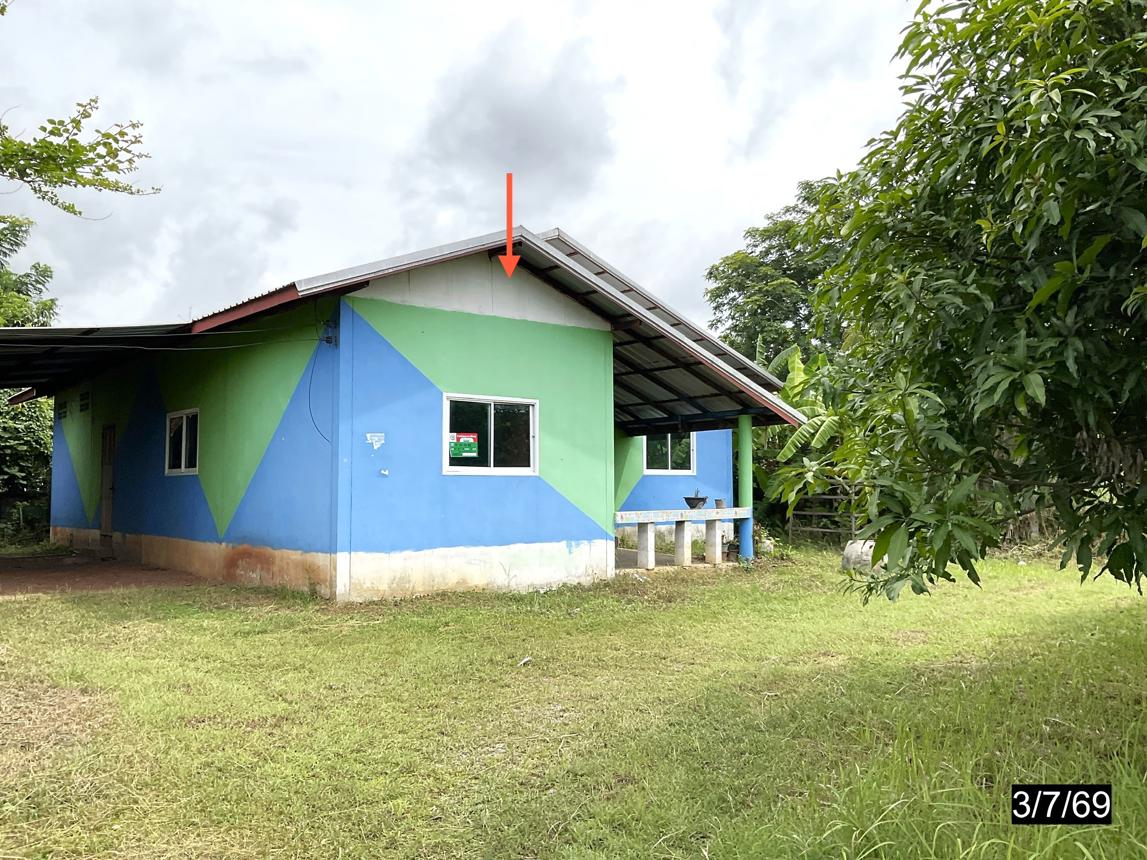 Single-Family Home, Pink Color, Khon Kaen Province