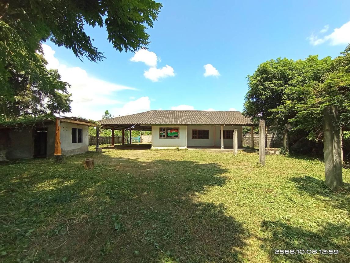 Single House in Yang Talat, Kalasin