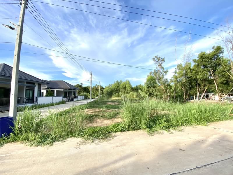 Land for sale in Taphong, filled in, area 52 sq.w., next to concrete road, Takad Sai 1,, Rayong