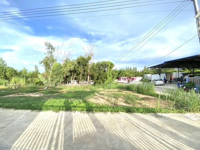 Land for sale in Taphong, filled in, area 52 sq.w., next to concrete road, Takad Sai 1,, Rayong