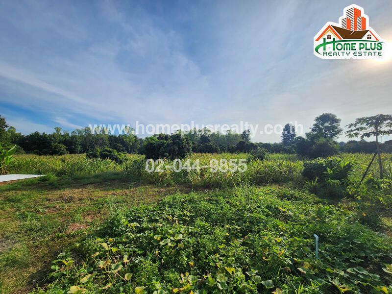 ที่ดินพร้อมบ้านเดี่ยว 2 ชั้น สไตล์ลอฟท์, Chiang Mai