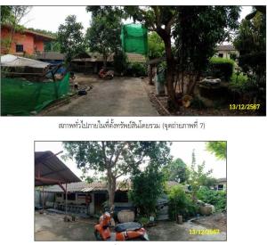 ที่ดินพร้อมบ้านดอนสัก สุราษฎร์ธานี