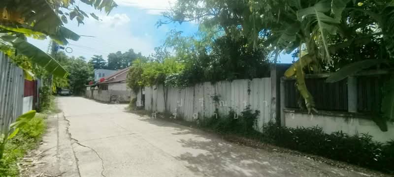 บ้านเดี่ยว+ที่ดินเปล่า 360 ตร.ว. ใกล้บริษัทเวิร์คพอยท์สตูดิโอ ถนนรังสิต-ปทุมธานี, Pathum Thani