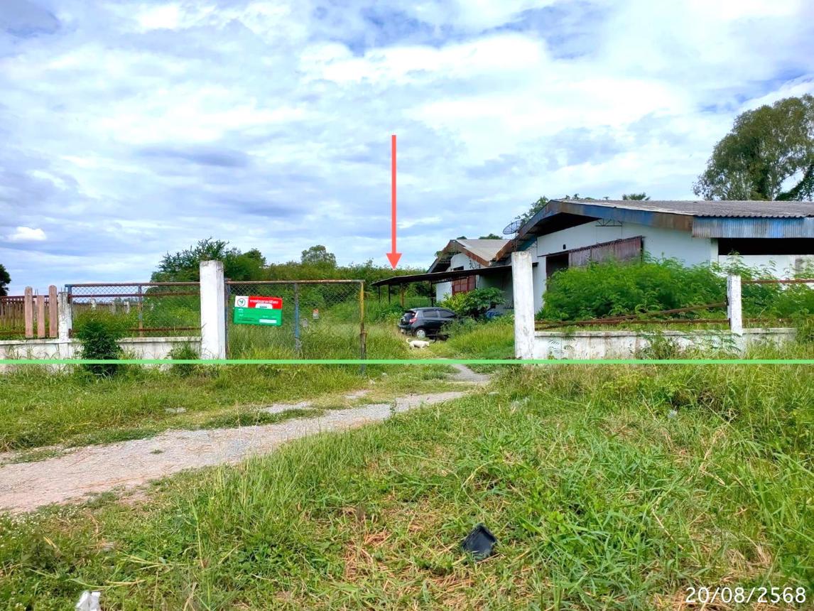 Warehouse at Don Chedi, Suphan Buri