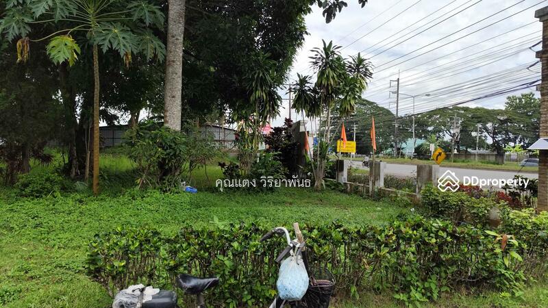 Maesai Garden City, Chiang Rai