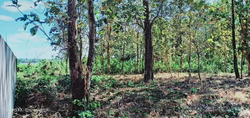 มุกดาหาร, Mukdahan