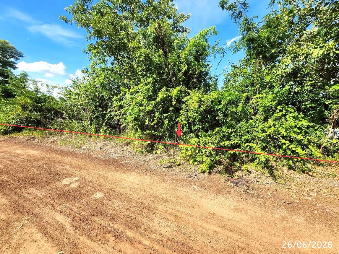 Empty land for sale in Selaphum, Roi Et.