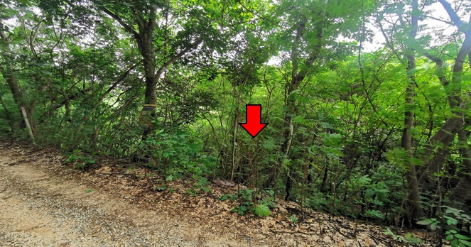 ที่ดินเปล่า เชียงใหม่
