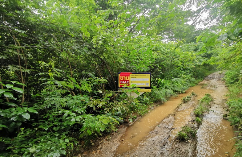 Empty Land in Chiang Mai