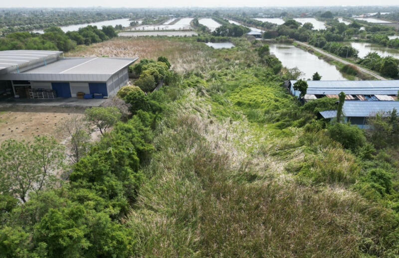 ขายด่วน ที่ดินแปลงใหญ่ 21 ไร่ บางเสาธง ใกล้สนามบินสุวรรณภูมิ, Samut Prakan