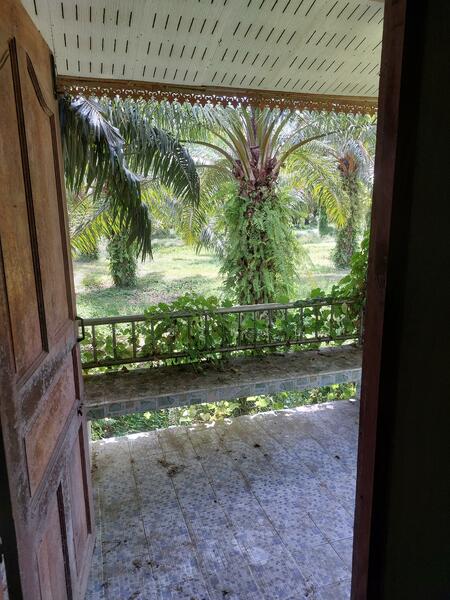 บ้านเดี่ยว อำเภอพระแสง จังหวัดสุราษฎร์ธานี, Surat Thani