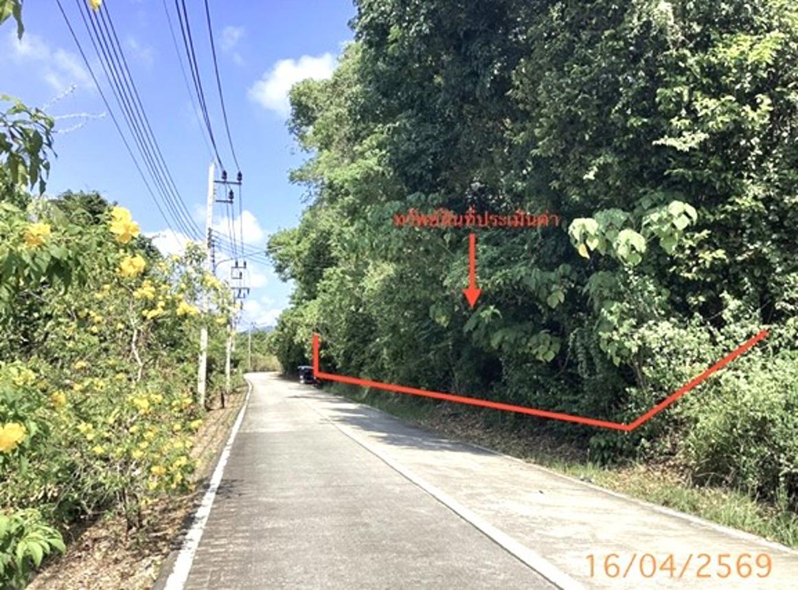 Vacant Land for Sale in Phuket, Phuket