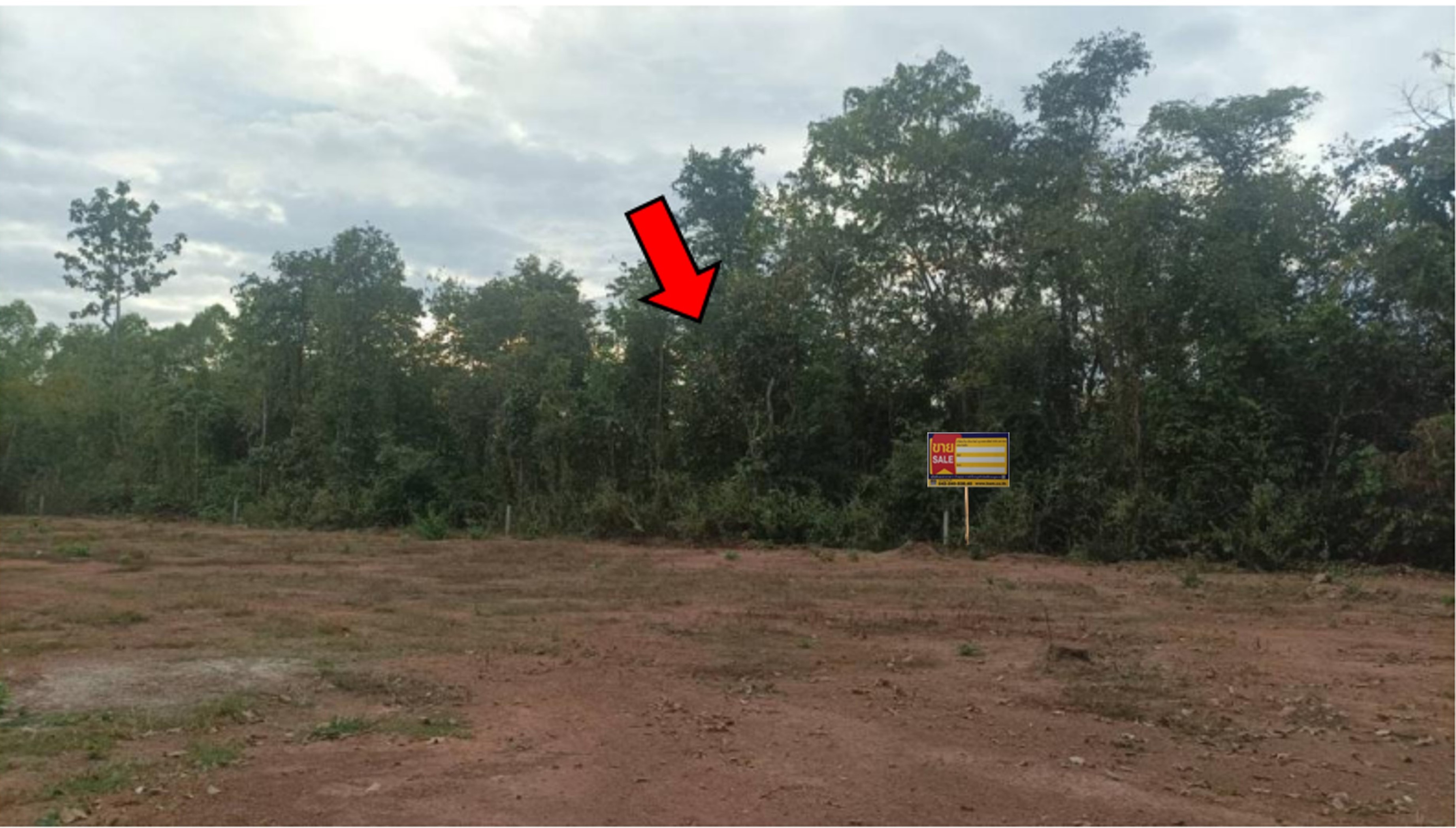Land for sale near Nong Mak Khuea community.