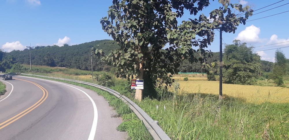 Empty land in Chiang Rai province.