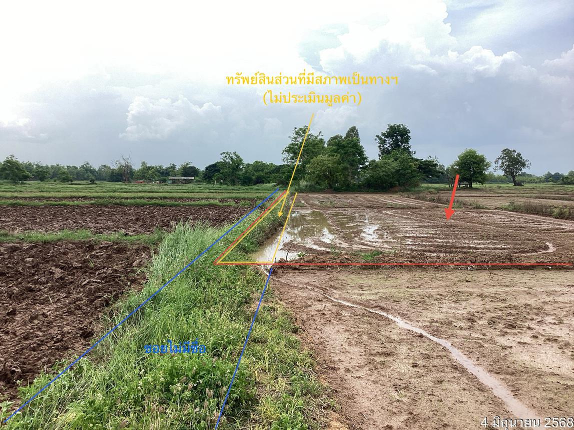 ที่ดินว่างเปล่า ดอกคำใต้ พะเยา