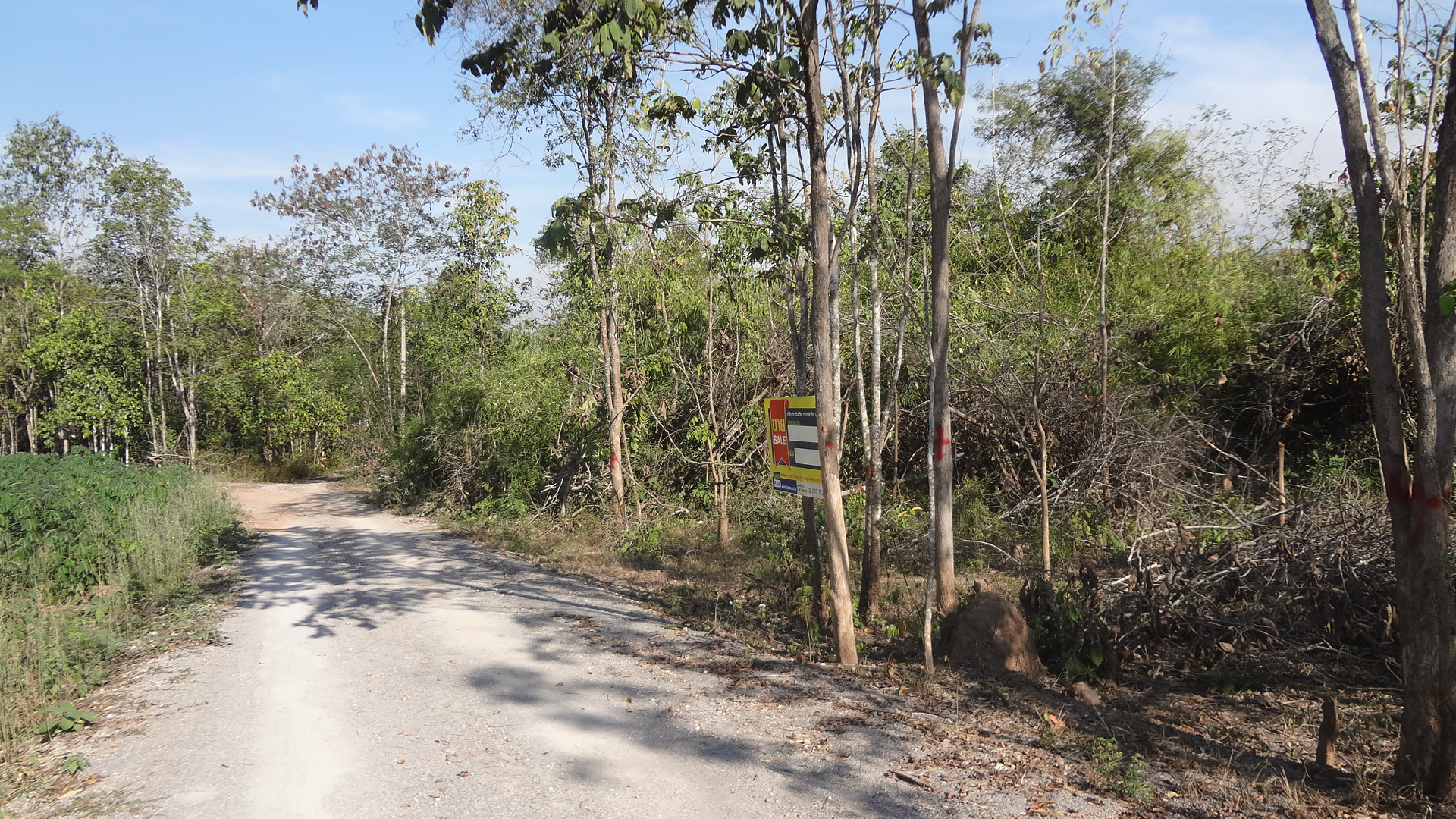 Empty land in the project of Pak Chai Tai, Lamphun