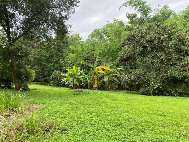 Land in Doi Saket, Chiang Mai
