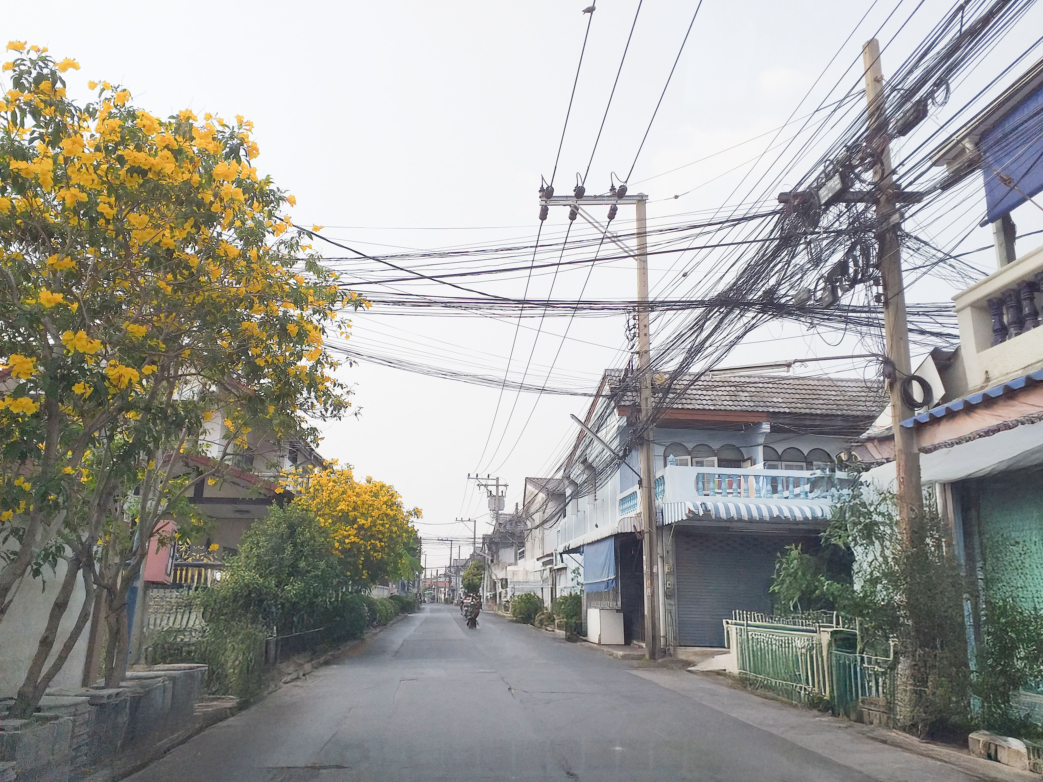 ทาวน์เฮ้าส์ โครงการหงษ์ประยูร 1 นนทบุรี