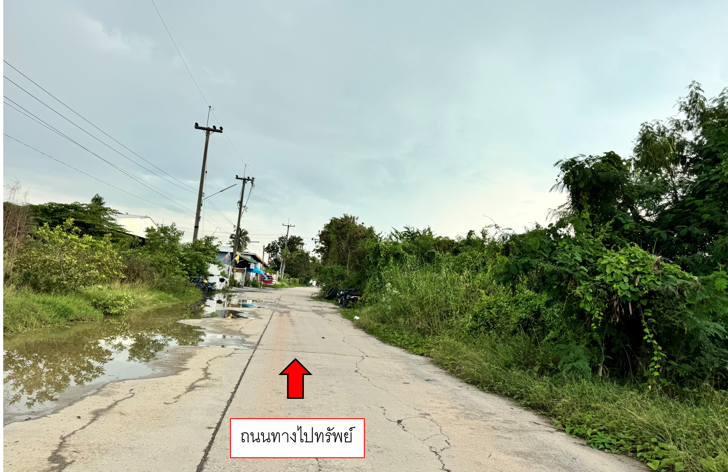 ที่ดินเปล่า นครชัยศรี นครปฐม