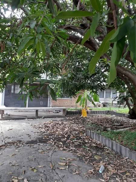 Land with buildings for sale at Sukhumvit 103/2 (Udom Suk), near the Bangkok Mall, Bangkok