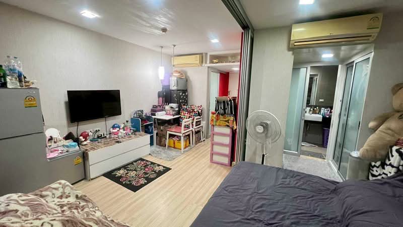 The Colory Vivid, Bangkok