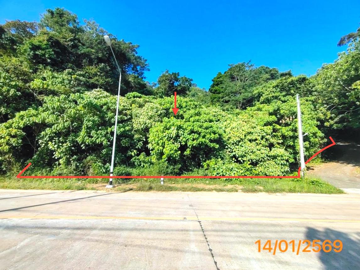 Vacant land, Lanta Island, Krabi Province