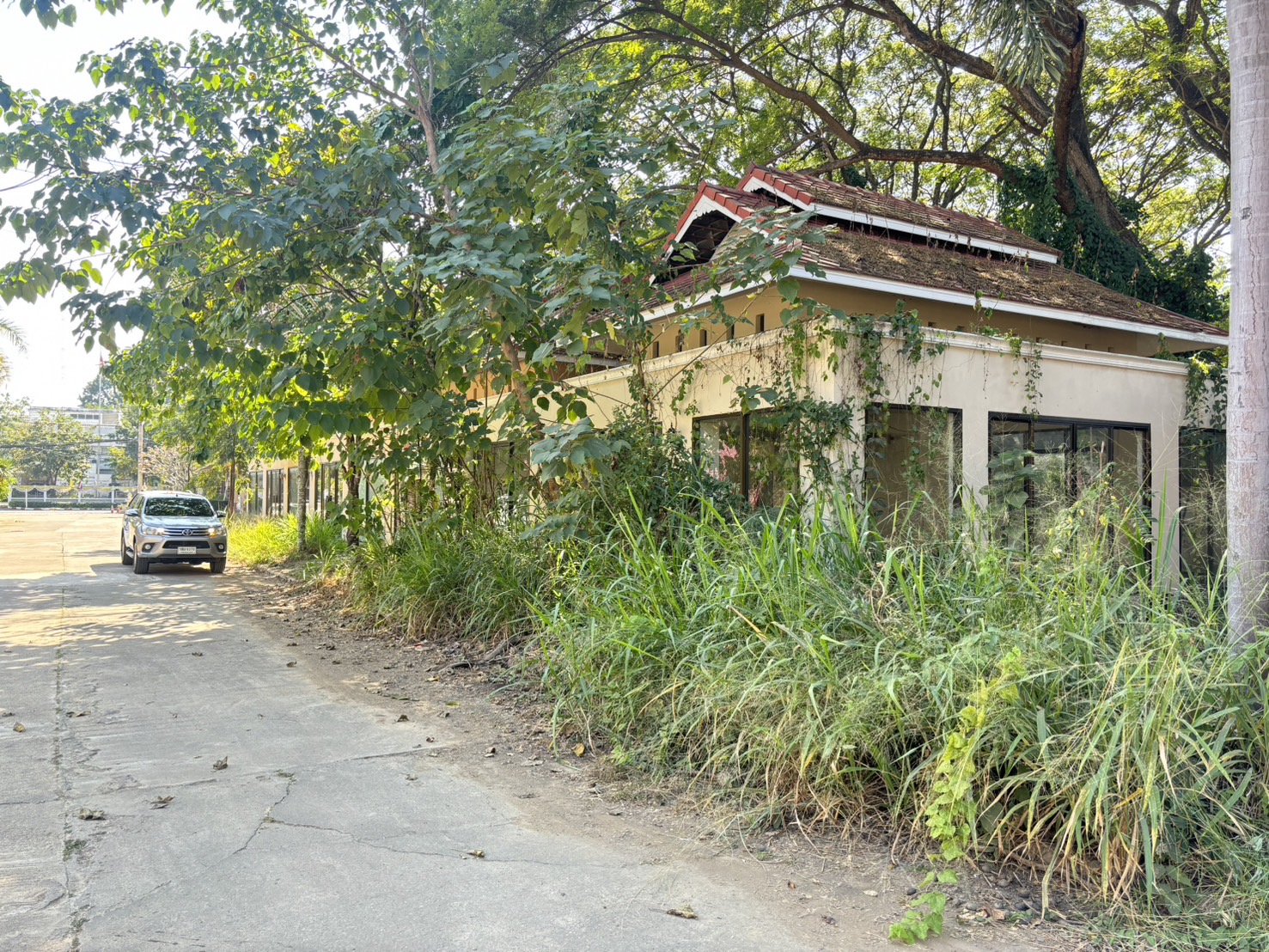 บ้านเดี่ยว โครงการไชโย พลาซ่า เชียงใหม่