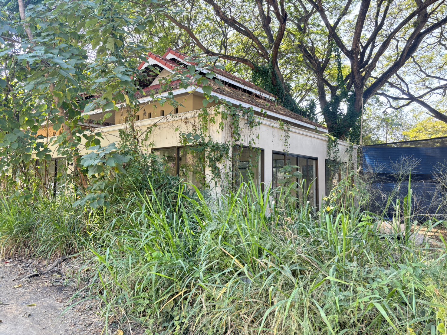บ้านเดี่ยว โครงการไชโย พลาซ่า เชียงใหม่