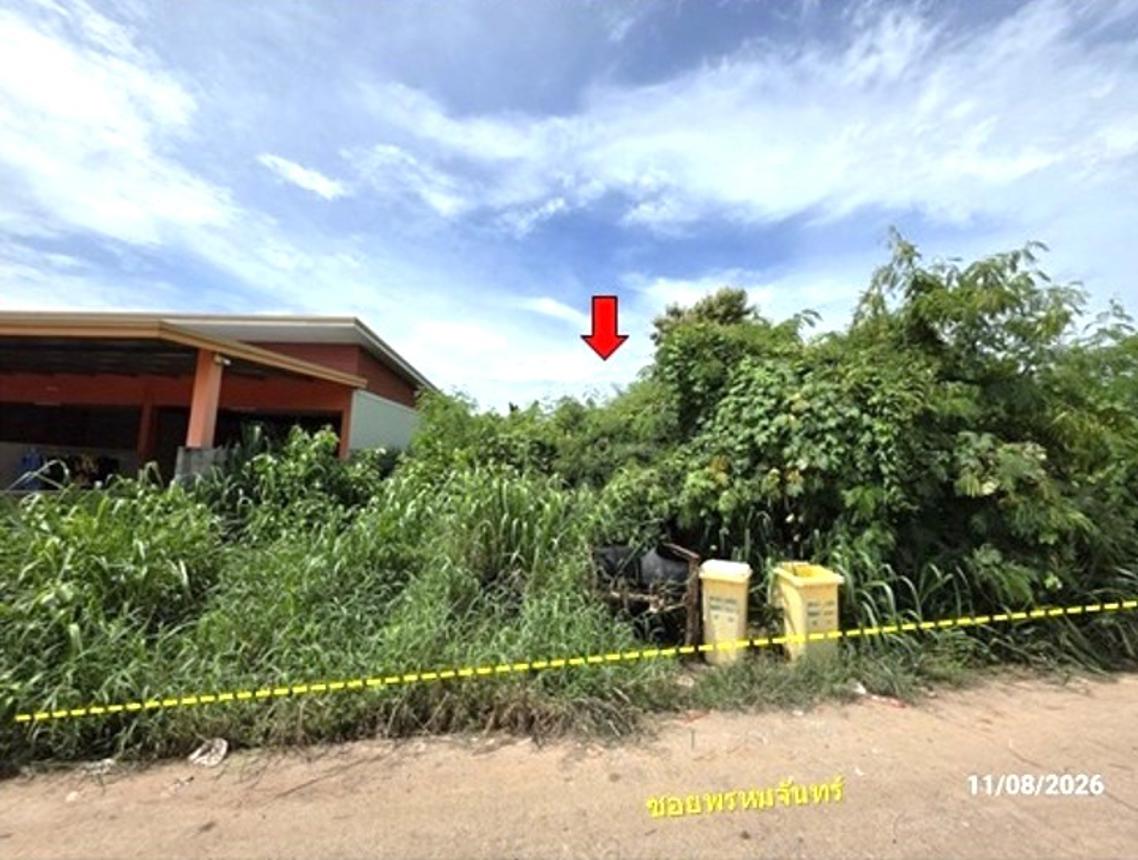 ที่ดินว่างเปล่า เมืองหนองบัวลำภู จังหวัดหนองบัวลำภู