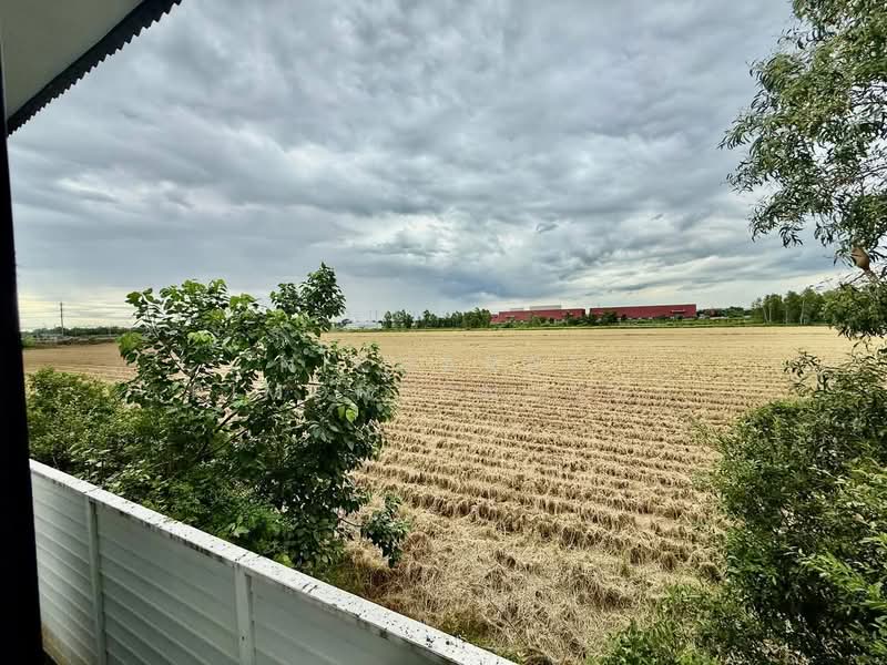 Eco Haus Wongwaen-Lamlukka, Pathum Thani