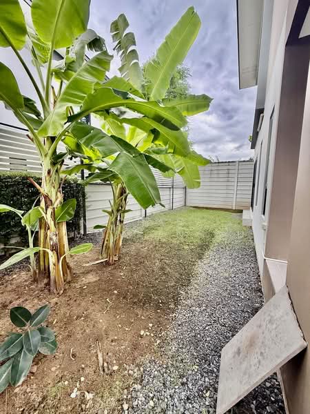 Eco Haus Wongwaen-Lamlukka, Pathum Thani