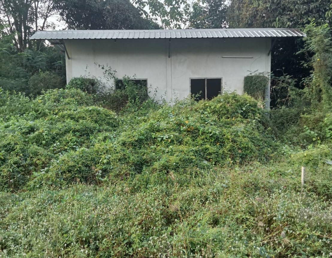 Multi-Purpose Building, Tapapao, Phichit