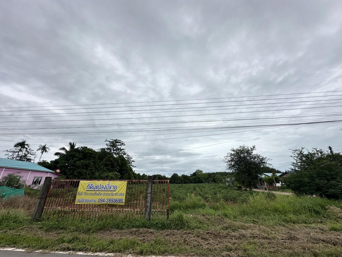 Vacant Land for Sale in Bueng Kan Province, Bueng Kan