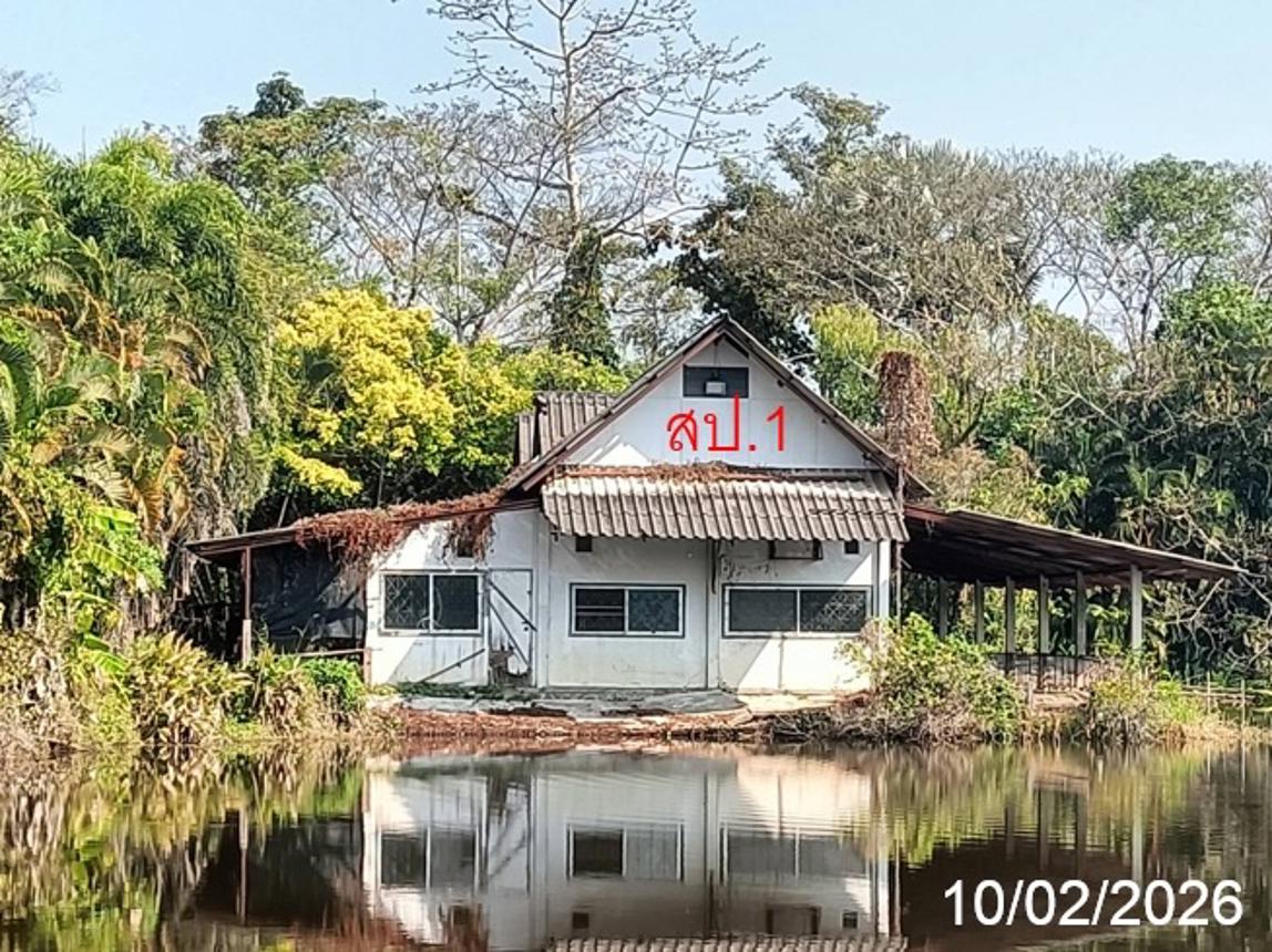 Single-Family House in Mae Rim, Chiang Mai