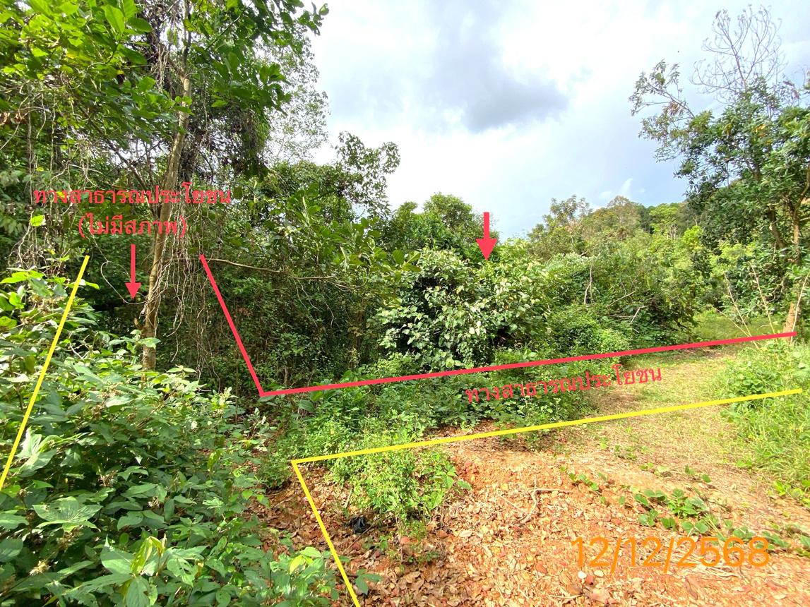 Vacant Land for Sale in Kuraburi, Phang Nga