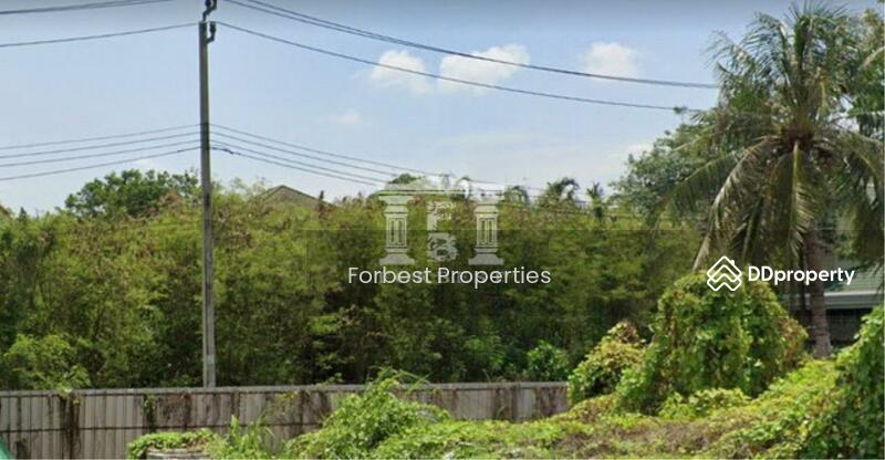 41092 - ขายที่ดิน ในหมู่บ้าน Evergreen กาญจนาภิเษก ใกล้เดอะมอลล์บางแค เนื้อที่ 185 ตร.ว., Bangkok