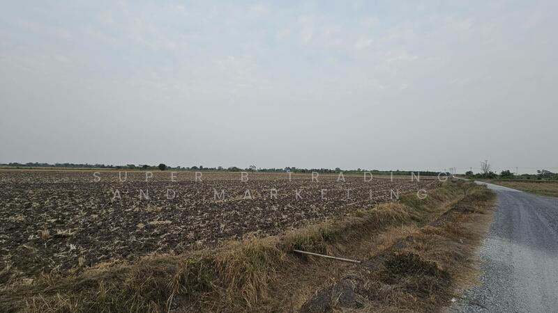 Land for sale 19 rai 56 sq.w. Bang Toei, Chachoengsao, Chachoengsao