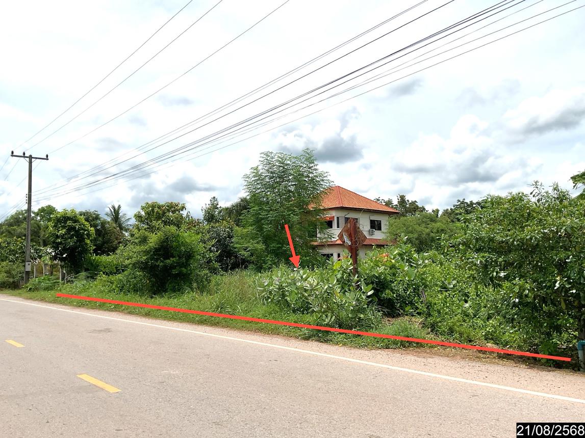 Empty land in Sri Bunyuen, Nong Bua Lamphu