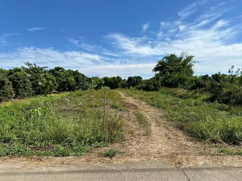 Beautiful longan orchard for sale, 10-0-59 rai, Nong Tong, Hang Dong, Chiang Mai., chiang-mai