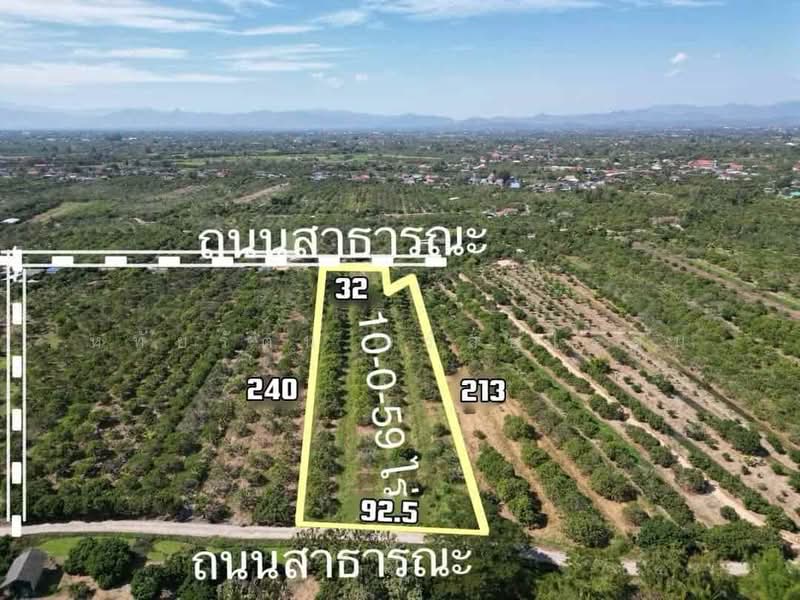 Beautiful longan orchard for sale, 10-0-59 rai, Nong Tong, Hang Dong, Chiang Mai., chiang-mai