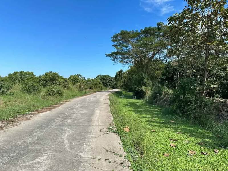 Beautiful longan orchard for sale, 10-0-59 rai, Nong Tong, Hang Dong, Chiang Mai., chiang-mai