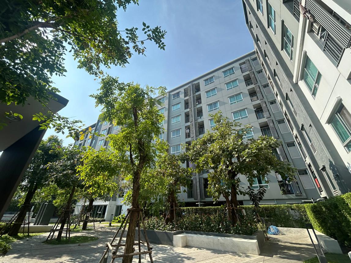 Condominium PRESENT EKACHAI Jomtien Bangkok