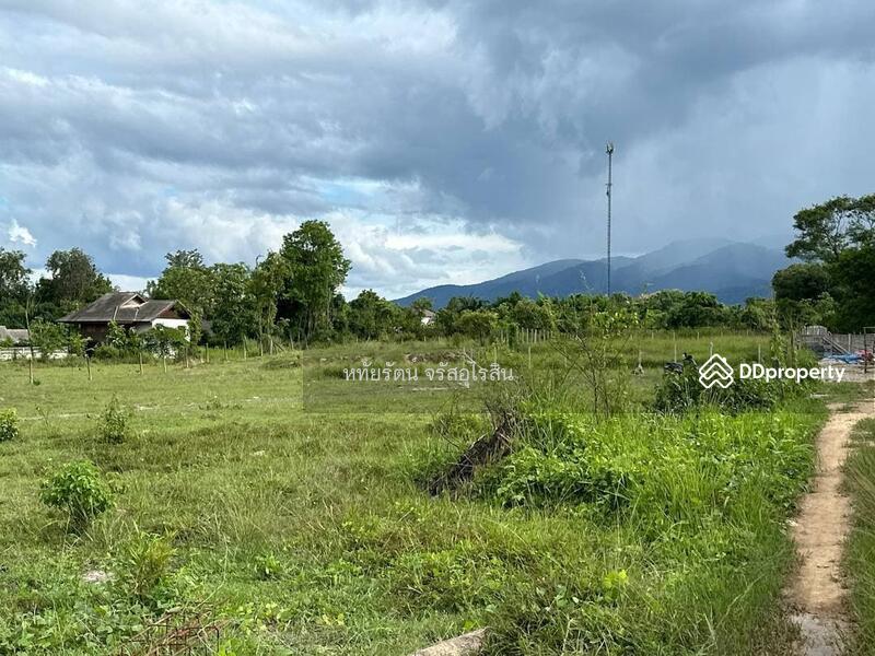 Land for sale 2-0-11 rai near Rim Nuea fresh market and Kad Farang, Mae Rim, Chiang Mai., chiang-mai