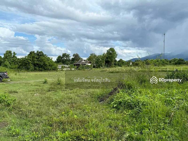 Land for sale 2-0-11 rai near Rim Nuea fresh market and Kad Farang, Mae Rim, Chiang Mai., chiang-mai