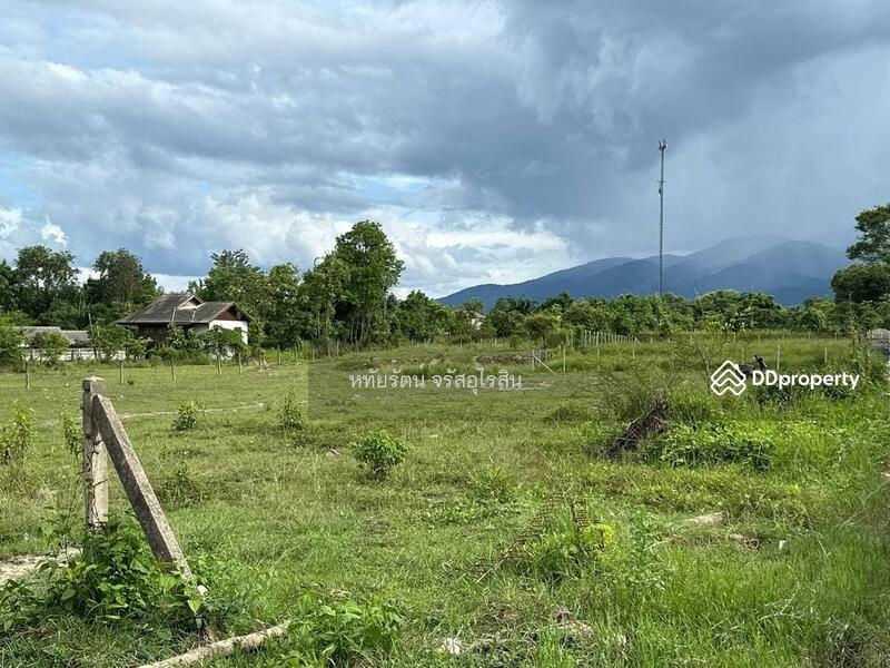 Land for sale 2-0-11 rai near Rim Nuea fresh market and Kad Farang, Mae Rim, Chiang Mai., chiang-mai