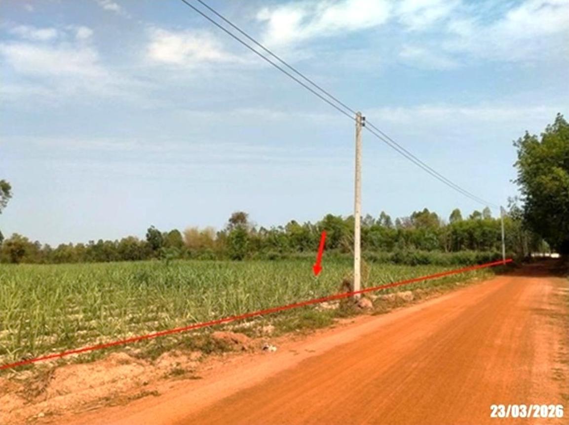 Empty Land for Sale in Dong District, Udon Thani