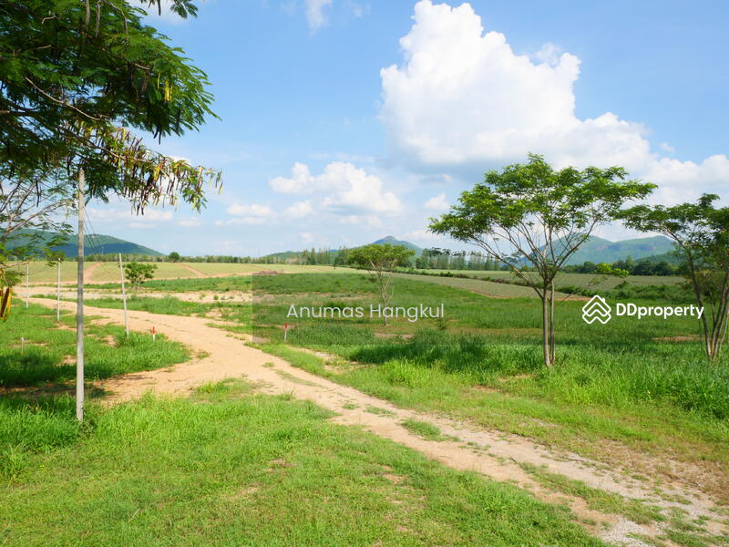 ที่ดินแปลงสวยวิวเขา ติดถนนลาดยาง ล้อมรั้วรอบที่ บนเส้นทางการท่องเที่ยว 182 ไร่ แก่งกระจาน, Phetchaburi