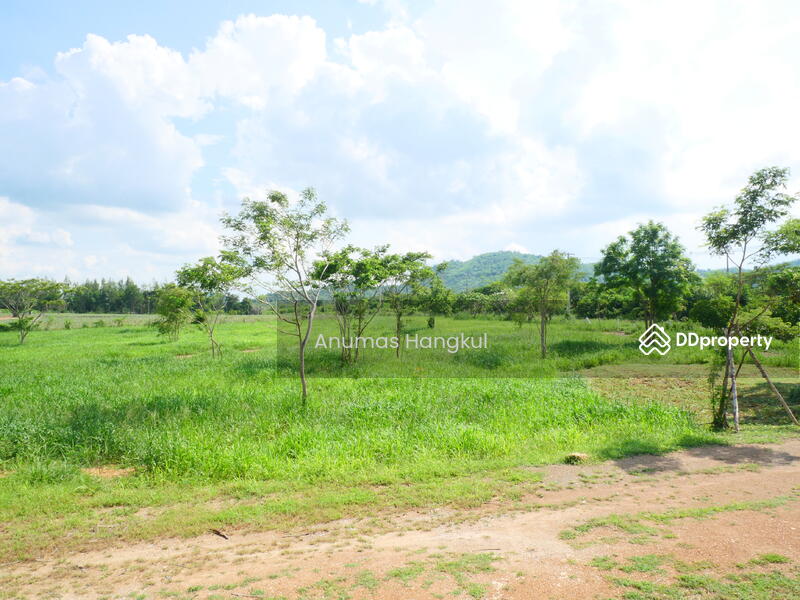 ที่ดินแปลงสวยวิวเขา ติดถนนลาดยาง ล้อมรั้วรอบที่ บนเส้นทางการท่องเที่ยว 182 ไร่ แก่งกระจาน, Phetchaburi