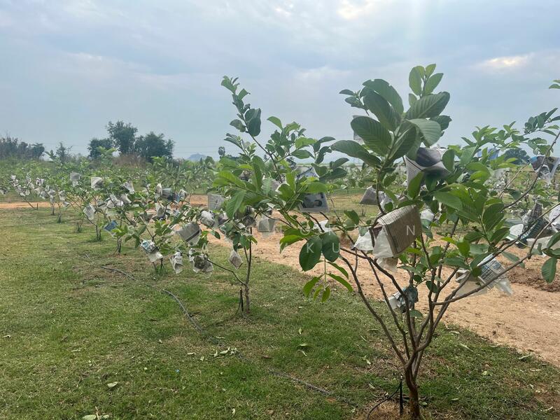2-BR House, Prachuap Khiri Khan