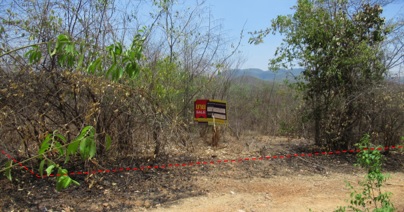 Empty land, Sakthong Property Farm Project, Lamphun
